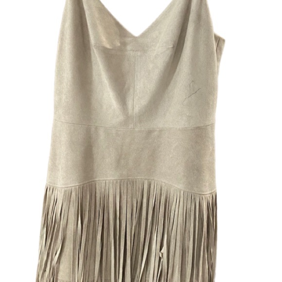 BCBG MaxAzria Light Stone Fringe Dress - Picture 5 of 6